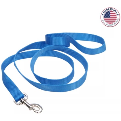 Coastal Pet Single-Ply Nylon Dog Leash Blue Lagoon