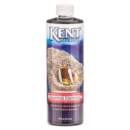 Kent Marine Essential Elements