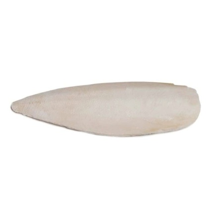 Prevue Cuttlebone Birdie Basics Large 6\