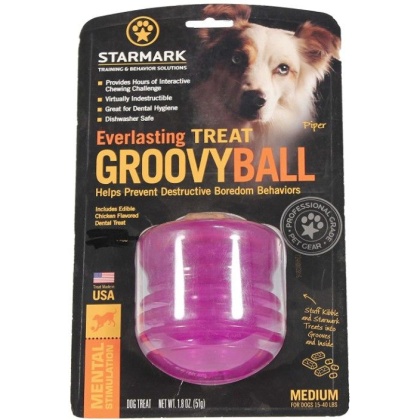 Starmark Everlasting Treat Groovy Ball Medium