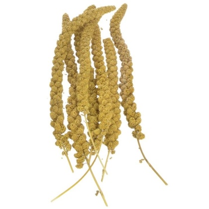 Sunseed Golden Millet Spray Natural Bird Treat