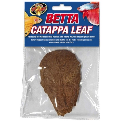 Zoo Med Betta Catappa Leaf